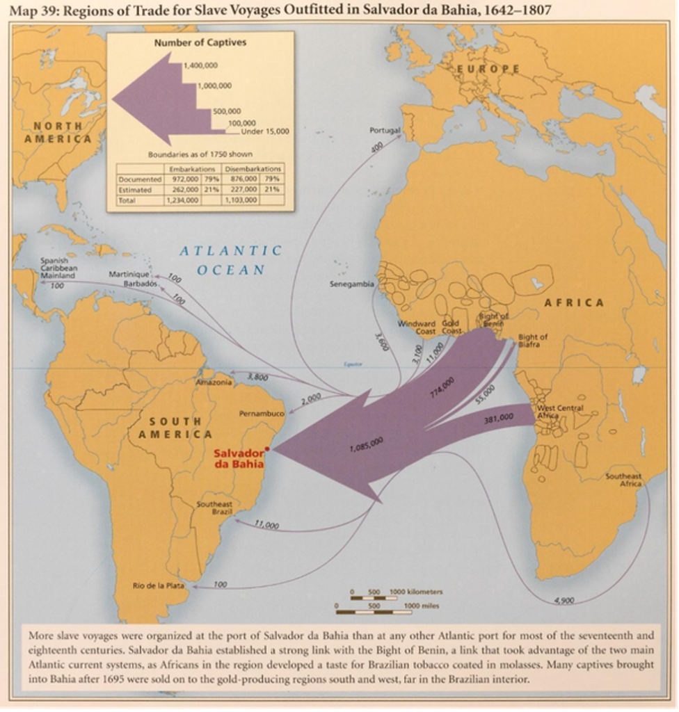Map of slave voyages